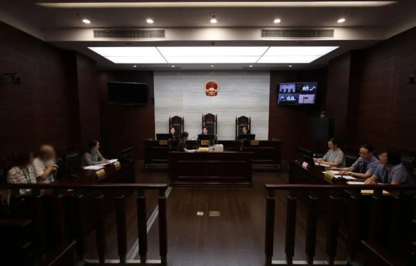 上海一女子死一火留住两个莫得“父亲”的好意思籍“试管男儿”，若何办？